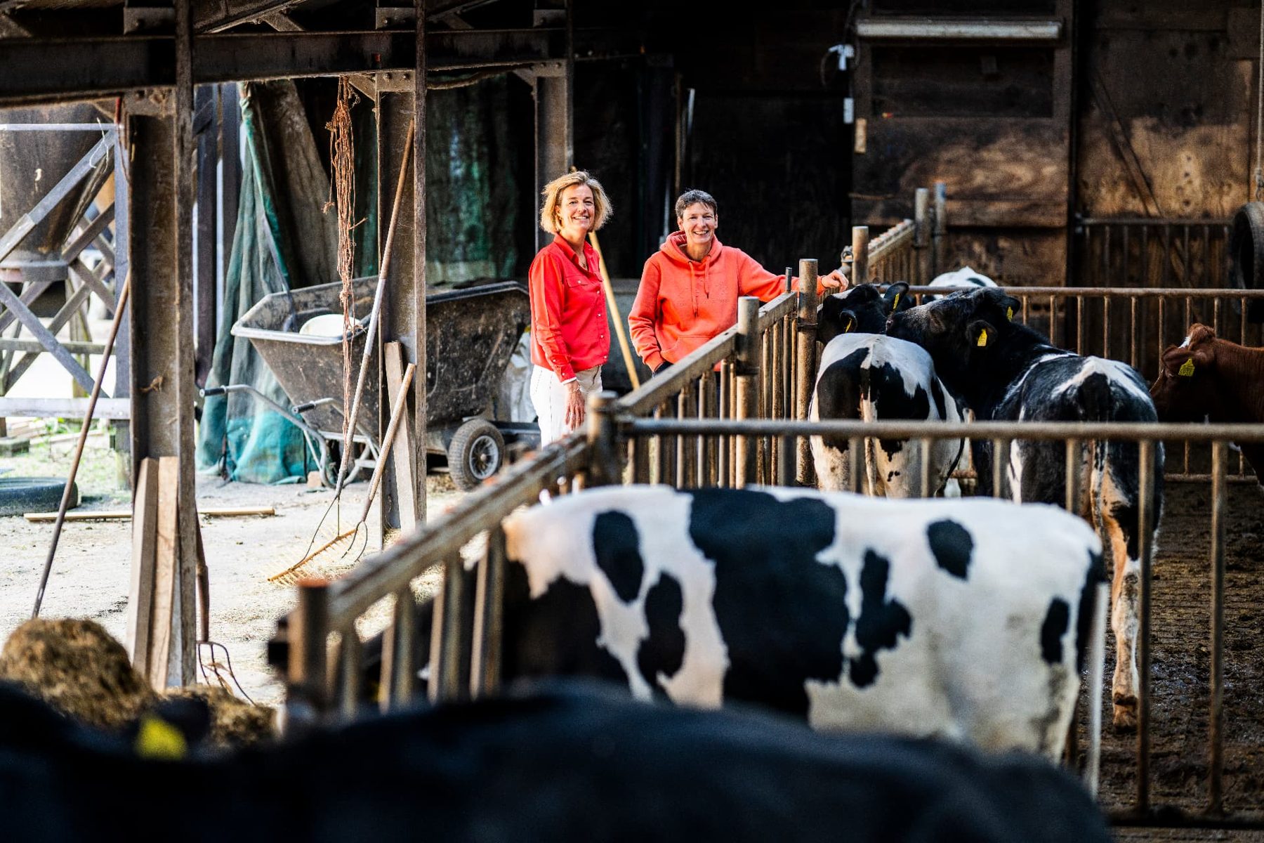 Royal FrieslandCampina — Zeven jaar huisfotograaf: beeld dat boer en onderneming verbindt